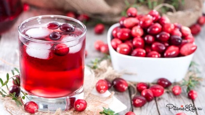 Cranberry cu miere - despre proprietăți benefice și contraindicații