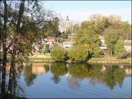 Rezumatul unei lecții de literatură cu o prezentare, gradul 8