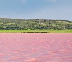 Lacul de zmeură