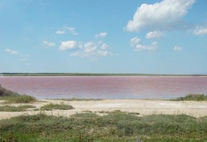 Lacul de zmeură