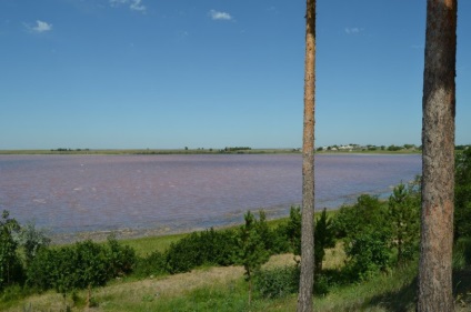 Zmeura Lacului (Teritoriul Altai, Districtul Mikhaylovsky)