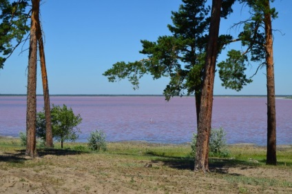 Zmeura Lacului (Teritoriul Altai, Districtul Mikhaylovsky)