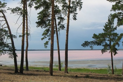 Zmeura Lacului (Teritoriul Altai, Districtul Mikhaylovsky)