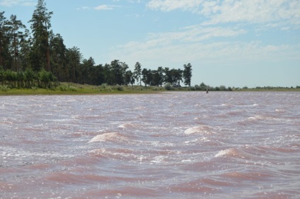 Zmeura Lacului (Teritoriul Altai, Districtul Mikhaylovsky)