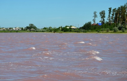 Zmeura Lacului (Teritoriul Altai, Districtul Mikhaylovsky)