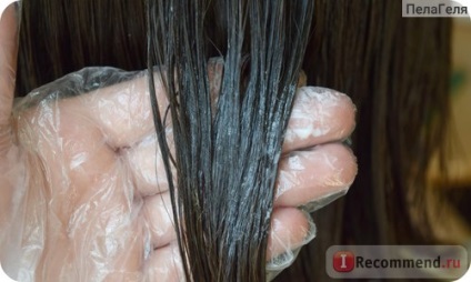 Mască pentru colorarea părului și a acidului napla cu efect de laminare cu extracte organice -