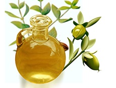 Uleiul de jojoba pentru pielea din jurul ochilor actiune, aplicare, retete