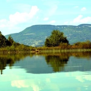 Minerale izvoare termale în Crimeea, Saki, Feodosia