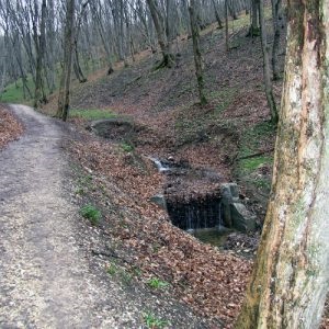 Minerale izvoare termale în Crimeea, Saki, Feodosia