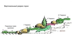 Flori perene și alte plante pentru dealurile alpine (video)