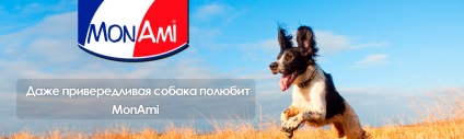 Conserve de monah pentru câini 🐕 cumpărați produse alimentare monami în magazinul online de moscow