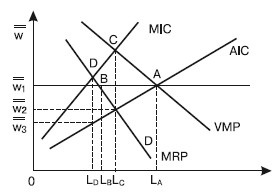Monopsony - microeconomie (Vecchinov g
