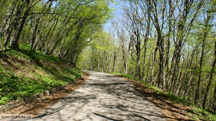 La vârful muntelui, Mashuk, drumurile păcii