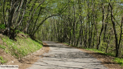 La vârful muntelui, Mashuk, drumurile păcii