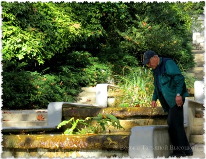 Grădina botanică Nikitsky în toamnă