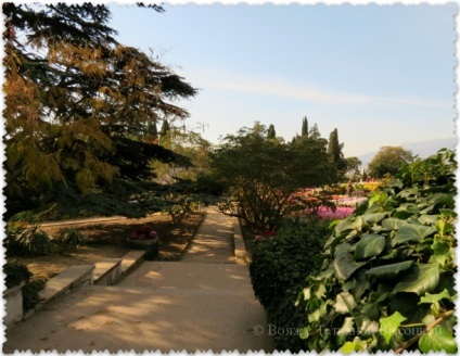 Grădina botanică Nikitsky în toamnă