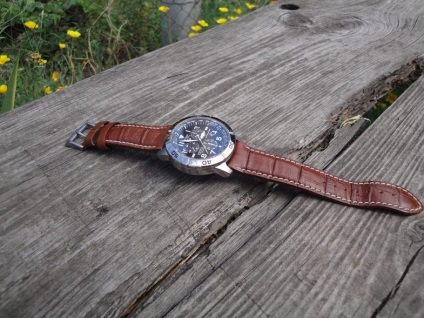 Огляд citizen bl5257-03l