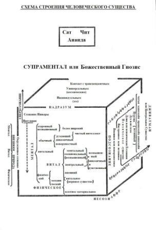 Structura ocultă a omului