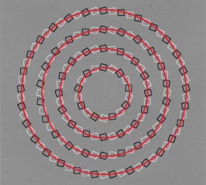 Iluziile optice care îți pot sparge creierul - umorul fm - umorul principal