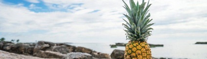 Caracteristicile dietei ananasului pentru pierderea în greutate
