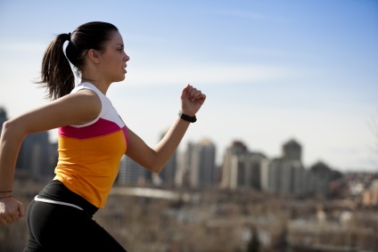 Wellness faj, hogyan kell megfelelően foglalkozni