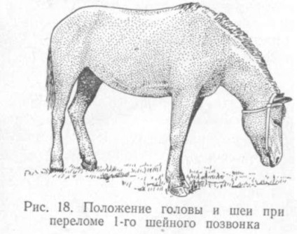 Fracturile și dislocările articulațiilor vertebrelor cervicale