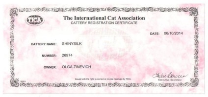 Căsătoria de pisici Bengal Minsk shinysilk - catelus de pisici Bengal matase lucios