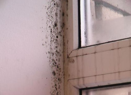 De ce ferestrele se îngroașă periculos din motive de sănătate