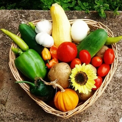 Utilizarea legumelor în alimentația brută