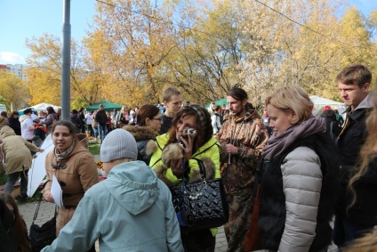 Ajutați câinii, pisicile, broaștele și păsările afectate