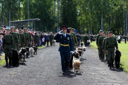 Pride - Lipetsk városi cinológiai szövetsége a hivatalos, dekoratív és a sport