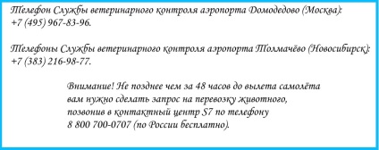 Reguli de transport al animalelor în companiile aeriene s7