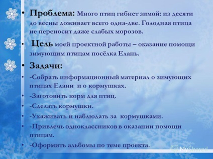 Prezentare pe proiect - vom hrăni pasările în timpul iernii! Moe este escroc al nopții