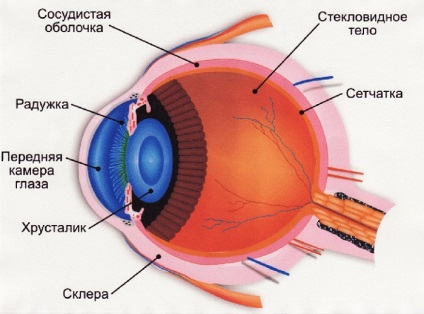 Cauzele durerii în interiorul ochiului, tratamentul, prevenirea