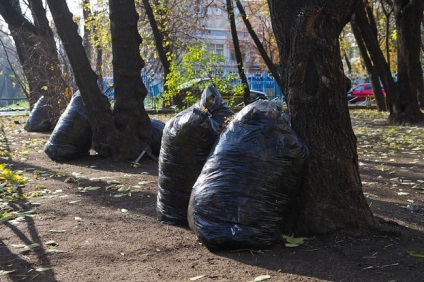 Utilizarea materialului de acoperire nețesut spunbond agropan este o metodă accesibilă și eficientă