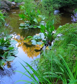 Gradina naturala