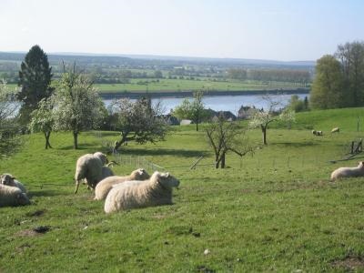 Industrie și Agricultură din Franța