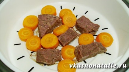 Puree pentru carne de vită copil cu legume aburit, sau cum să gătească piure de carne la un copil