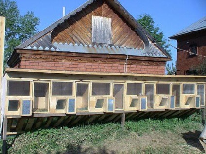 Barn nyulaknak, hogy készítsenek saját kezüket fotó, videó