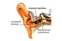 Plută din ureche în ureche și simptomele acesteia