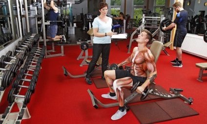 Fitness iskola 15 érdekes tényező az izmokról - fitness útmutató