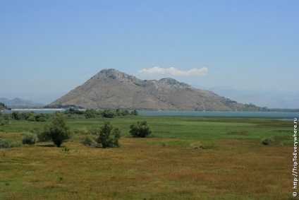 Lacul Skadar și virpazar