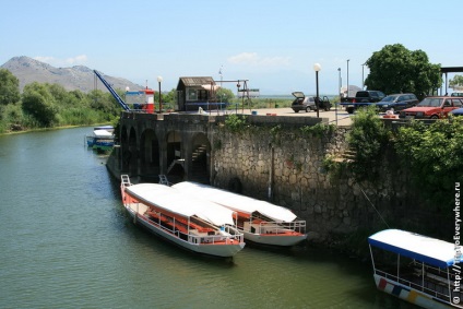 Skadar tó és virpazar