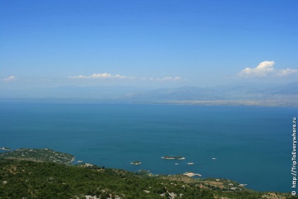 Skadar tó és virpazar