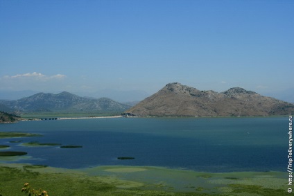 Skadar tó és virpazar