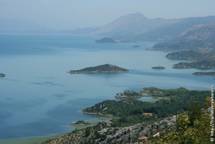 Skadar tó és virpazar