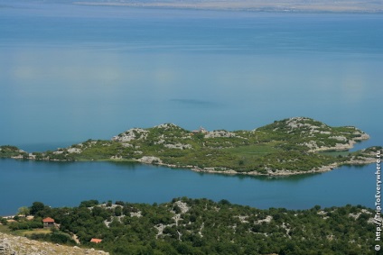 Skadar tó és virpazar