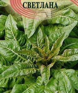 Salata de sparanghel