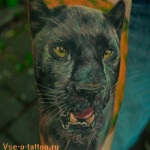 Tatuajelor animale, fotografii și schițe