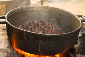 Tratamentul termic al boabelor de cacao - efectul de prăjire asupra fasolei